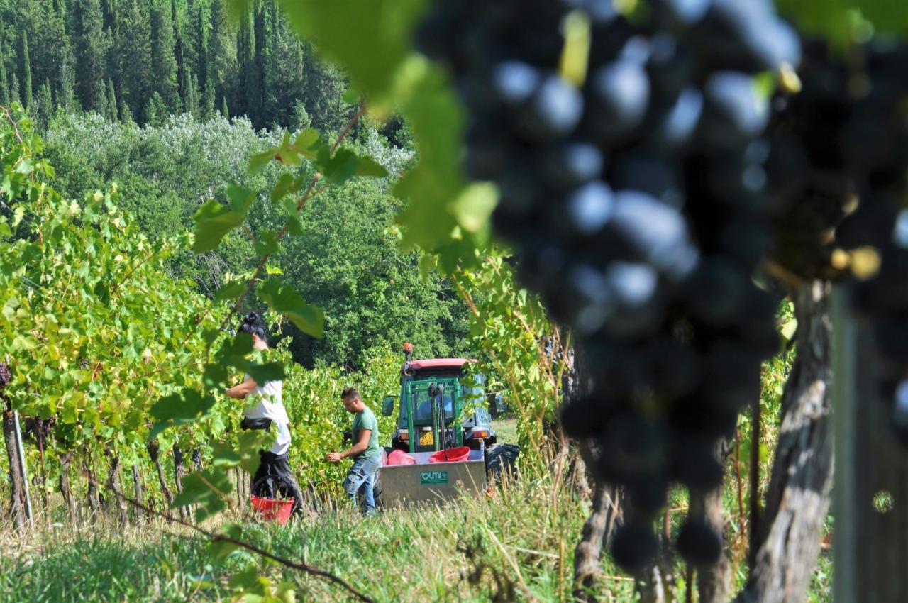 Tenuta Di Sticciano Certaldo Zewnętrze zdjęcie